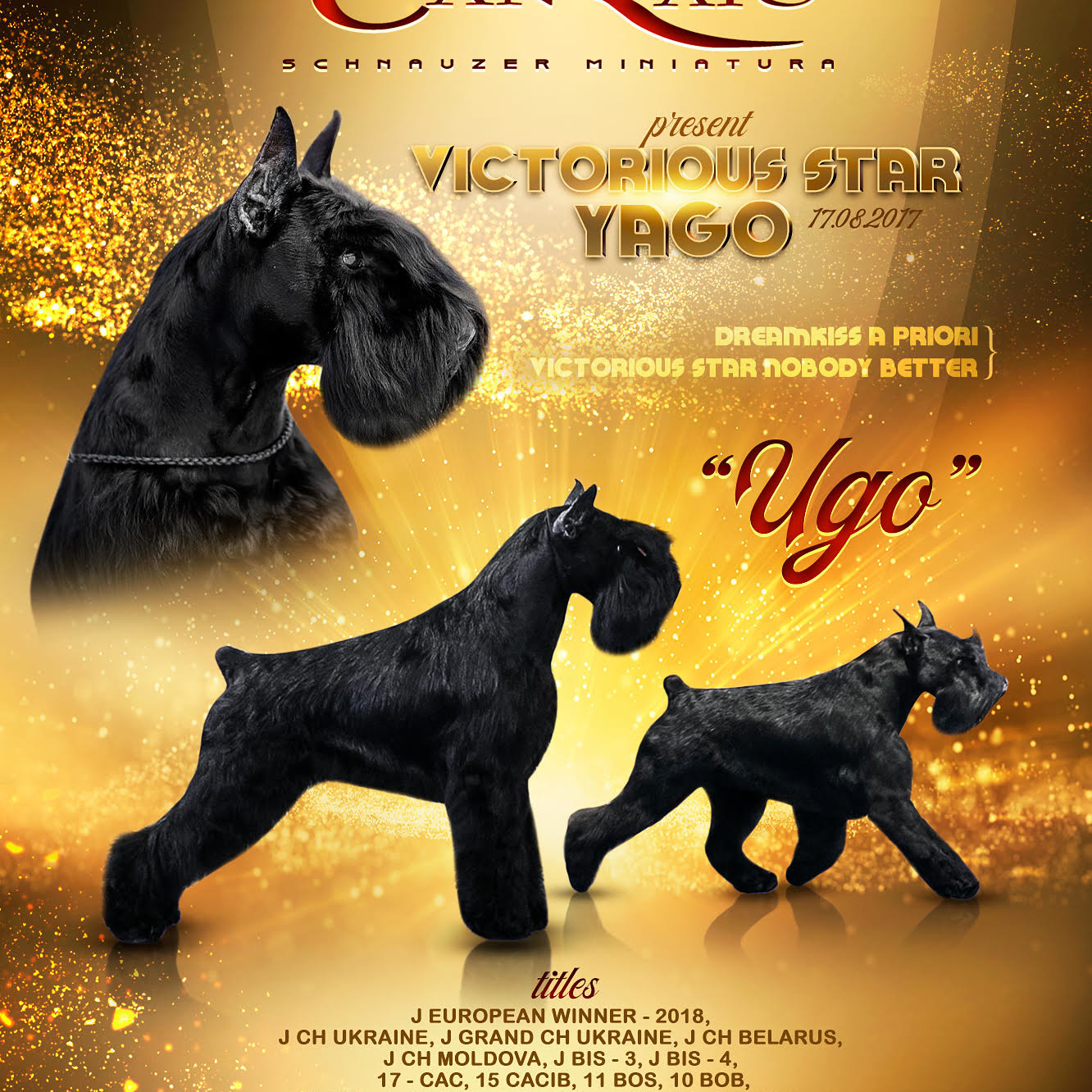 J. EuCh. y MultiCh. Victorious Star Yago «Uga» J. EuCh. y MultiCh. Victorious Star Yago «Uga»