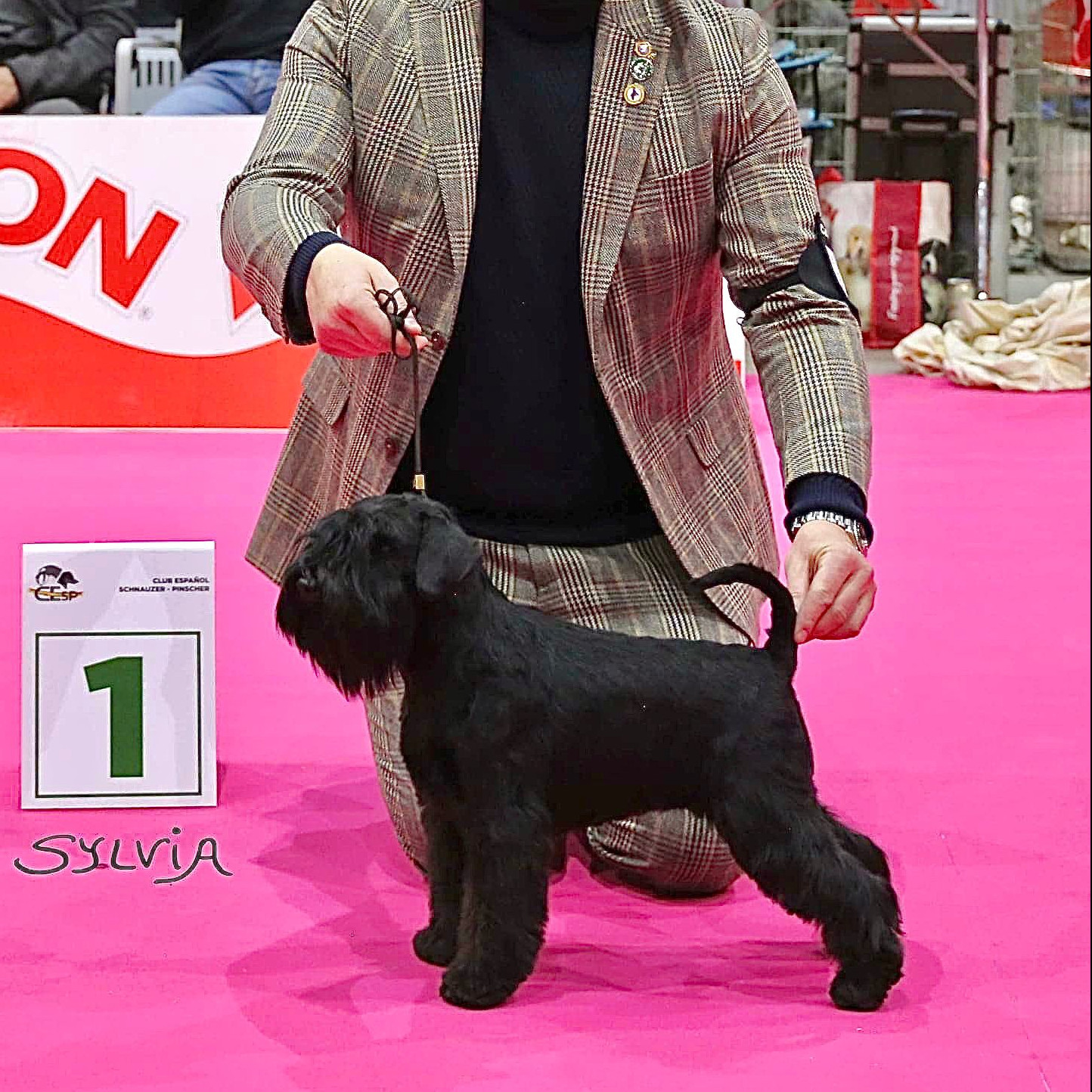 JCh. Yoko Ono Lennon de Can Rayo JCh. Yoko Ono Lennon de Can Rayo