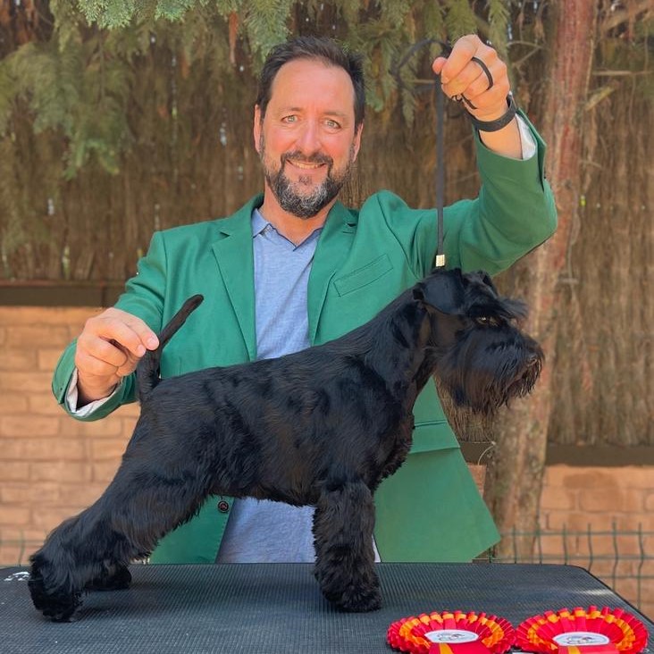 JCh. Victorious Star Pace in tutti il mondo «Slava» JCh. Victorious Star Pace in tutti il mondo «Slava»